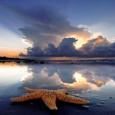 free, museum, heritage, sea, maritime