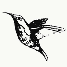 stamp, bird, art, print
