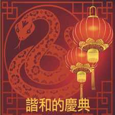 Chinese New Year, Harmonious Celebration, Year of the Snake, Community Event, Lion's Dance