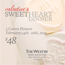 Valentines Day Dinner
