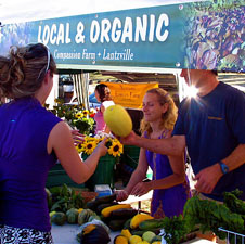 Farm food market vegetables produce