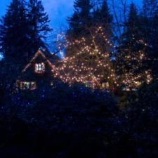 music, Christmas, caroling, Tea Room, storytelling, lights, family, children
