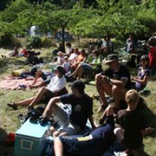 Concert, oceanfront vineyard, music, wine, food, camping