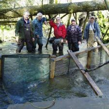 Water, Environment, Stream monitoring, fishing, coho
