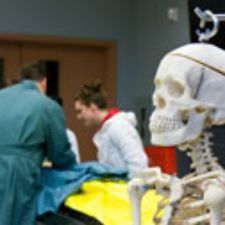 skeleton, UVic, victoria, art gallery, photography