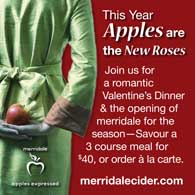 Valentine's Dinner at merridale