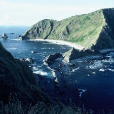 Nature, Wilderness, birding, marine ecosystems