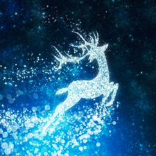 spirits, ghost, busting, christmas,