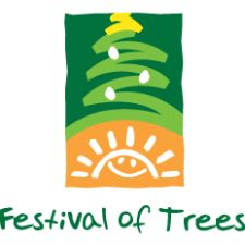 Festival of Trees, BC Children's Hospital, Empress, Kids, Decorations, Lights, Trees