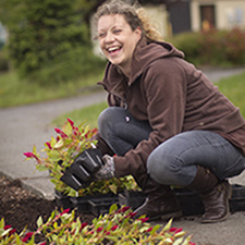 community, flowers, Courtenay, gardening, planting