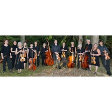 music, strings, chamber orchestra, concert