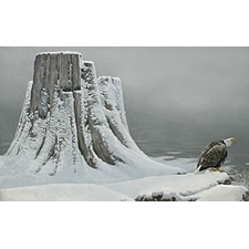 Art, Bateman art, robert bateman, the robert bateman centre