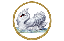 Swan Lake Craft Fair