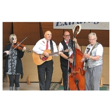 bluegrass, festival, chemainus, fever, waterwheel, banjo, country, music