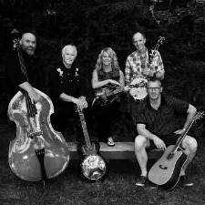 band, musicians, folk, country, rock, bluegrass, music