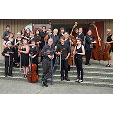 classical music, strings, chamber orchestra