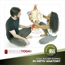 Red Door Yoga, Kavita Maharaj, Yoga, In-Depth Anatomy, Musculoskeletal, Anatomical Knowledge, Yoga Postures, Yoga Classes, Yoga Teacher Training, Yoga Practice, Fitness, BCRPA, Yoga Alliance, CEC, Nationally Recognized.