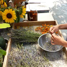 cowichan valley wine & culinary, our ecovillage, insight into gmo symposium, gmo, ge, deconstructing dinner, jon steinman, dr don huber 
