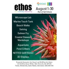 art, arts, workshops, activities, free, families, kids, salmon, herring, seining, beach, walks, Parksville, installation