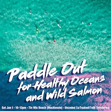 wild salmon, action, paddle out, Tofino fish farms,