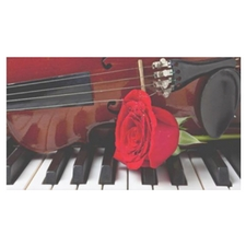 Violin, Piano, concert, classical
