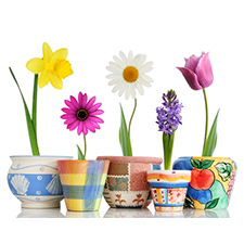 Fundraiser,  preschool,  art, auction,  wine, cheese, tasting