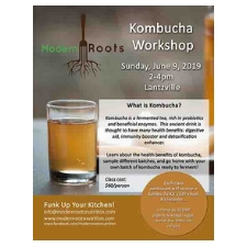 food, cooking, kombucha, fermentation, gut health, probiotics, nutrition, vegetarian