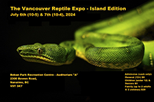 vancouver reptile expo 
