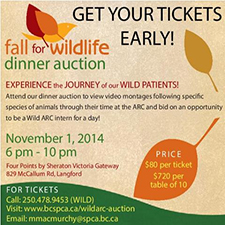 wild, wildlife, animal, BC SPCA, Wild ARC, animals