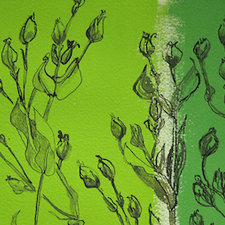 art, art classes, art courses, art school, drawing, pencil, ink, watercolour, plants, flowers, nature, Expressive Plant Drawing