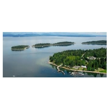 mushroom festival, mushroom, micology, fungi, quadra island