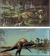 Dinosaur, kids, entertainment, learning, museum, fossils, bones
