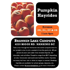 pumpkin, hayride, fall, october, family, outdoors, autumn