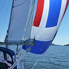 sailing, sail, boats,