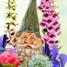 Garden Gnome Hunt