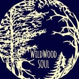 Music, live, wildwood soul, folk, traditional, fiddle, guitar, cello, banjo, singing, song, cover, fun, foot-stomping