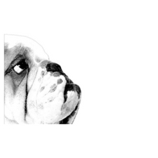 West Coasts largest pet festival