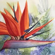 BarbDeRousie, watercolour, painting
