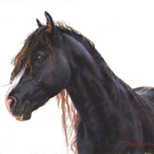 stallion, horse, wild horses, art, painting
