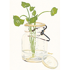 Watercolour, watercolor, canning, mason jar, heritage, legacy