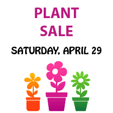 plants, gardening, 