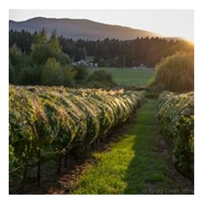 terroir, wine tasting, open house, cooking, food
