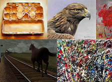 art, classes, workshop, summer camp, camp, art camp, kids art camp, children's camp, painting camp, colwood kids camps,painting, art,  langford kids camps, summer programs for kids 