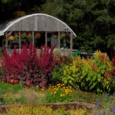 Education, Celebration, Bees, Pollination, Family, community