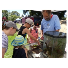 event, poster, nature park, live music, face painting, children's activities, food trucks