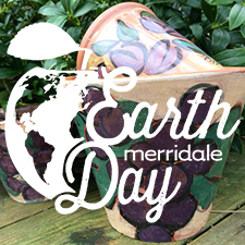 earth, merridale, cider, spirits, flower, pot, craft, art, class, mother