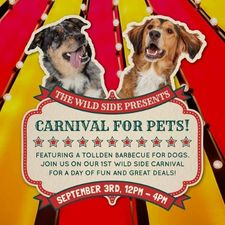 pet, pet store, bbq, summer, bbq for dogs, dogs, dog, pets, food, Nanaimo, carnival, Wild Side