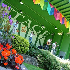cookeilidh, celtic, celtic band, celtic music, irish band, irish music, scottish, scottish music, scottish band, fiddle, guitar, concert, festival, beacon hill park, cameron bandshell, concert in the park, summer concert, victoria bc, music, summer, picnic, irish dance, dance