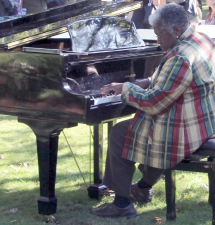 grand piano, wedding,Beacon hill park,concert,jazz,hermann's
