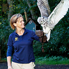 nature, owl, raptors, education